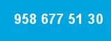 958 677 51 30 958 677 51 30